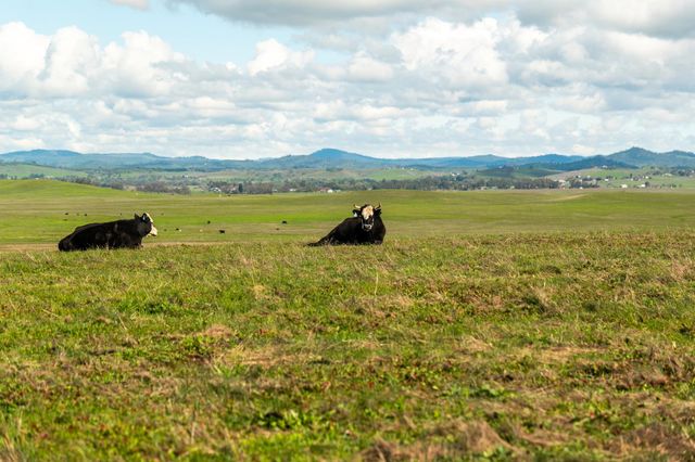 4873 Gladding Rd, Lincoln, CA 95648