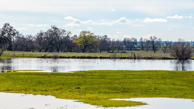 4873 Gladding Rd, Lincoln, CA 95648