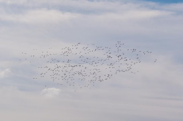 4873 Gladding Rd, Lincoln, CA 95648