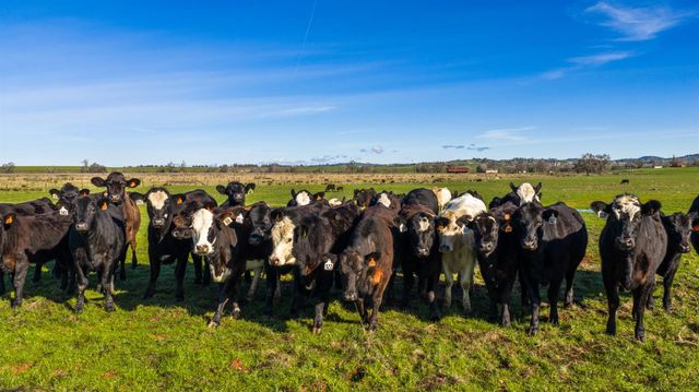 4873 Gladding Rd, Lincoln, CA 95648