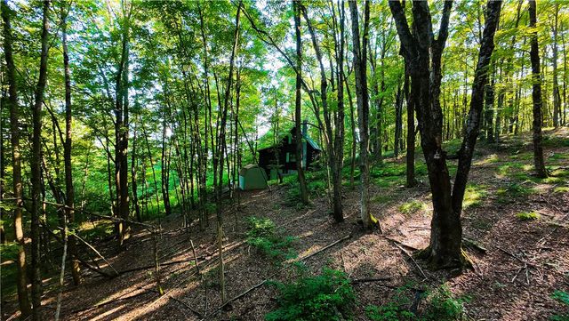 1455 County Road 10, Preston, NY 13815