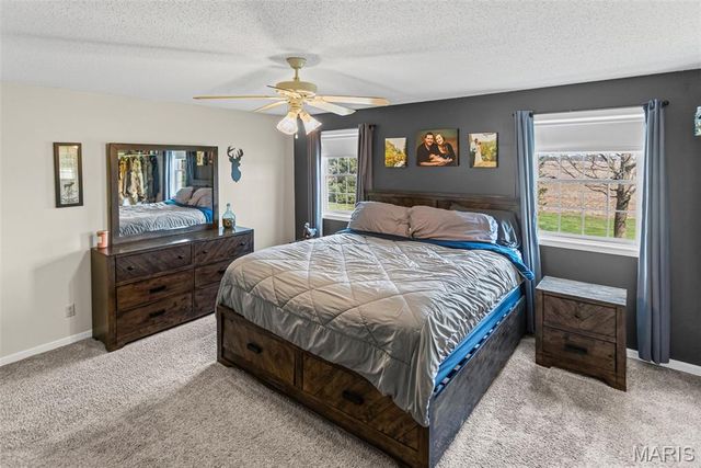 124 Evergreen Court, Brighton, IL 62012