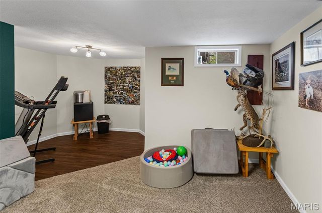 124 Evergreen Court, Brighton, IL 62012