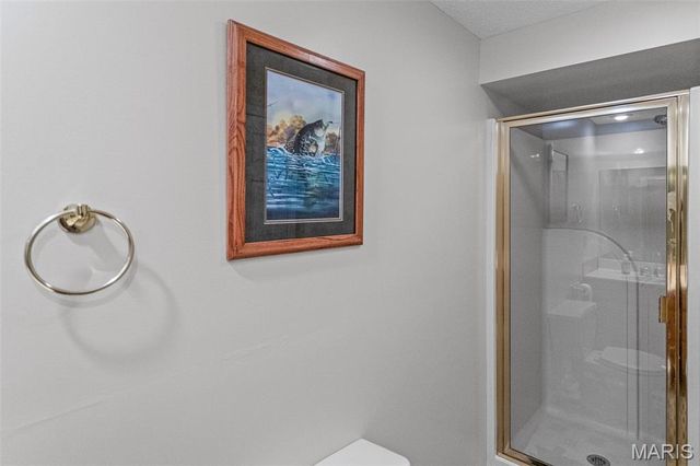 124 Evergreen Court, Brighton, IL 62012