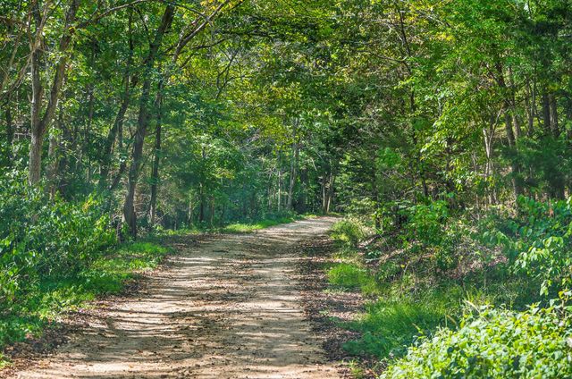 460 Sela Lane, Galena, MO 65656