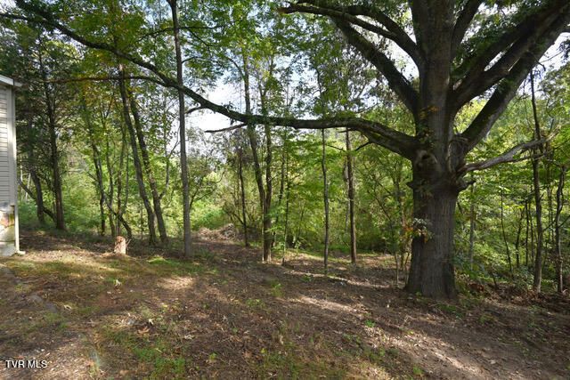 106 Cradic Drive, Rogersville, TN 37857