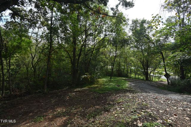 106 Cradic Drive, Rogersville, TN 37857