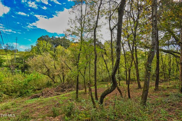 106 Cradic Drive, Rogersville, TN 37857