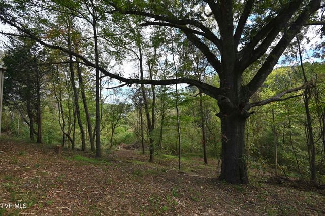 106 Cradic Drive, Rogersville, TN 37857