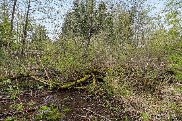 6557 Malloy Road, Ferndale, WA 98248