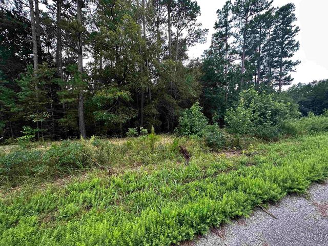 Lot 62 Green Creek Trl, Shirley, AR 72153