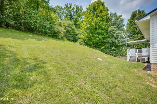202 Grandview Street, Mount Carmel, TN 37645