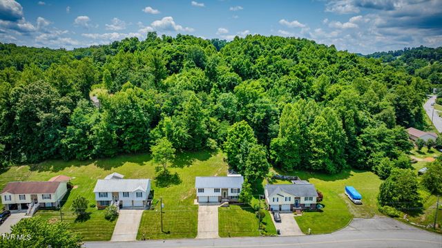 202 Grandview Street, Mount Carmel, TN 37645