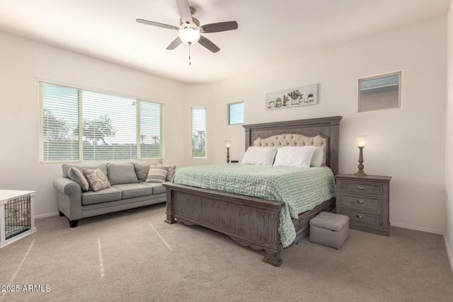 42851 W MALLARD Road, Maricopa, AZ 85138