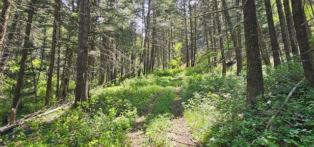 327 Granger Road, Cameron, MT 59720