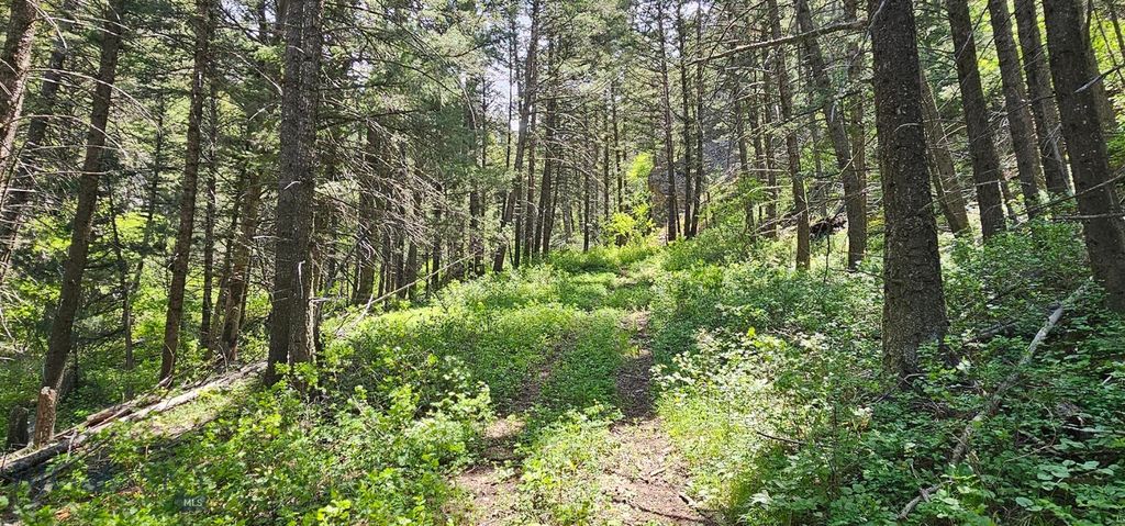 327 Granger Road, Cameron, MT 59720 photo 44