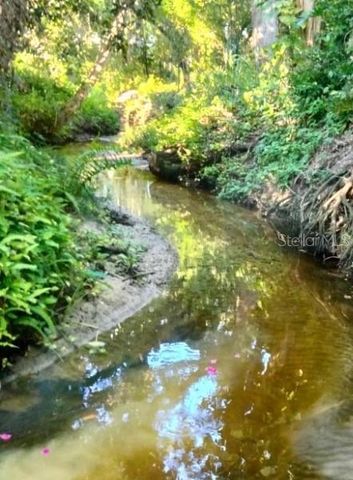 38 WILLOW CREEK COURT 5, Safety Harbor, FL 34695