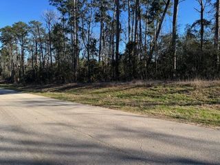 11165 W Lake Dr, Willis, TX 77378