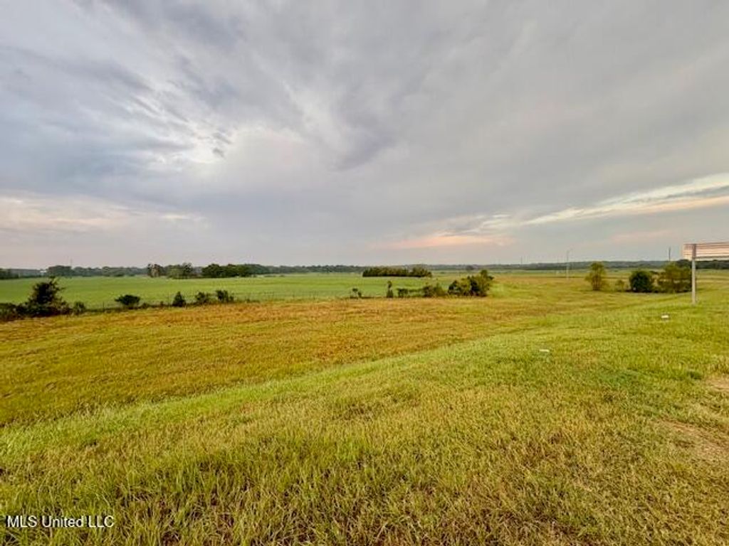 0 Shands Bottom Road, Senatobia, MS 38668 — photo 5