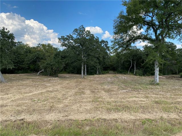 10144 Albert Drive, Iola, TX 77861