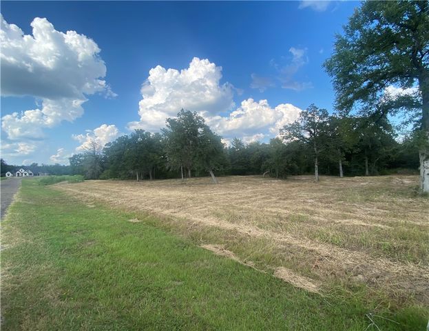 10144 Albert Drive, Iola, TX 77861