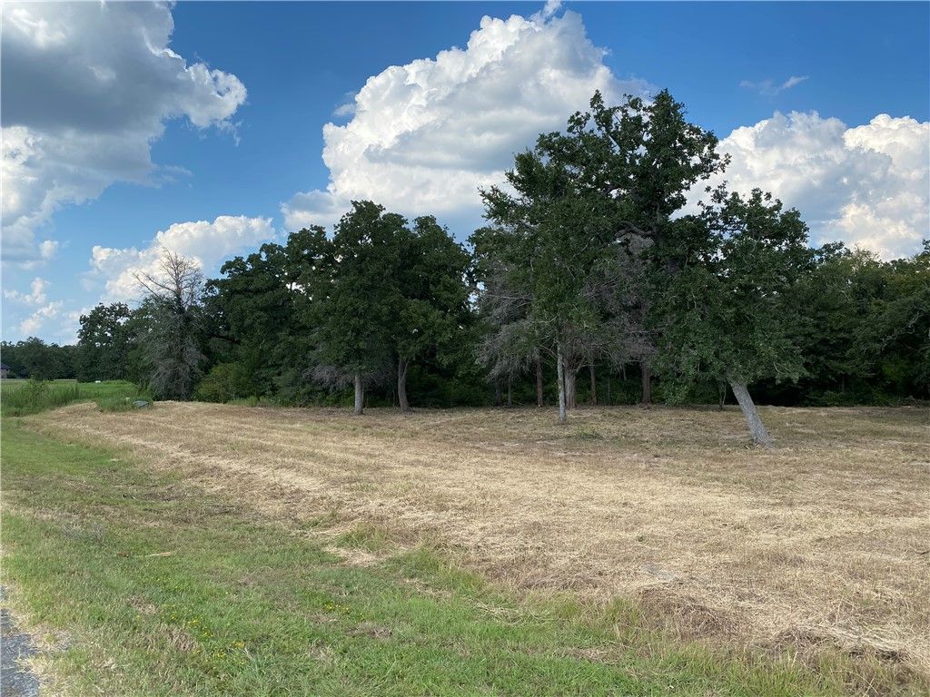 10144 Albert Drive, Iola, TX 77861 — photo 4