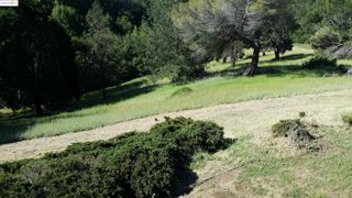 11320 Lochard Street, Oakland, CA 94605