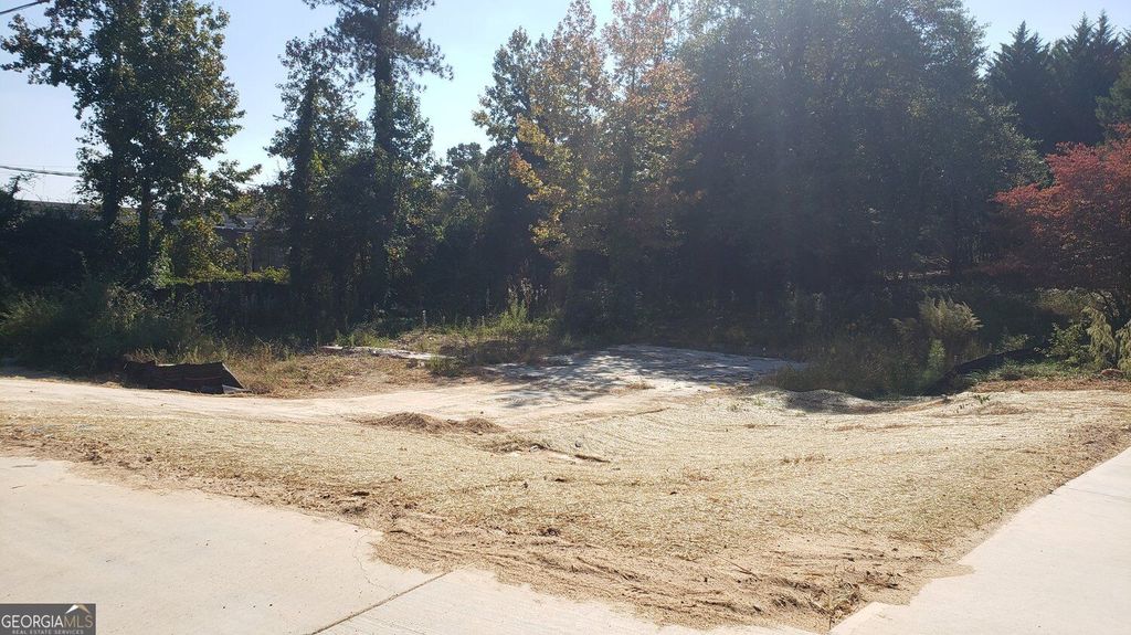 6336 Spout Springs Road, Flowery Branch, GA 30542 — photo 2