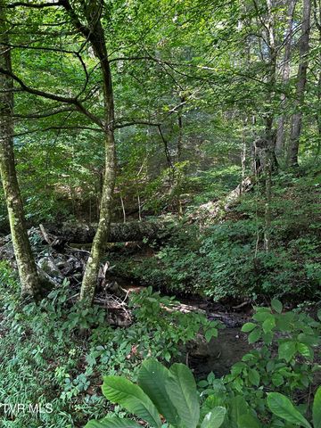1013 Cloud Creek Road, Rogersville, TN 37857