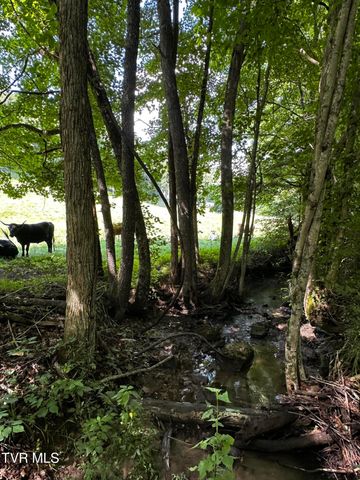 1013 Cloud Creek Road, Rogersville, TN 37857