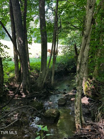1013 Cloud Creek Road, Rogersville, TN 37857