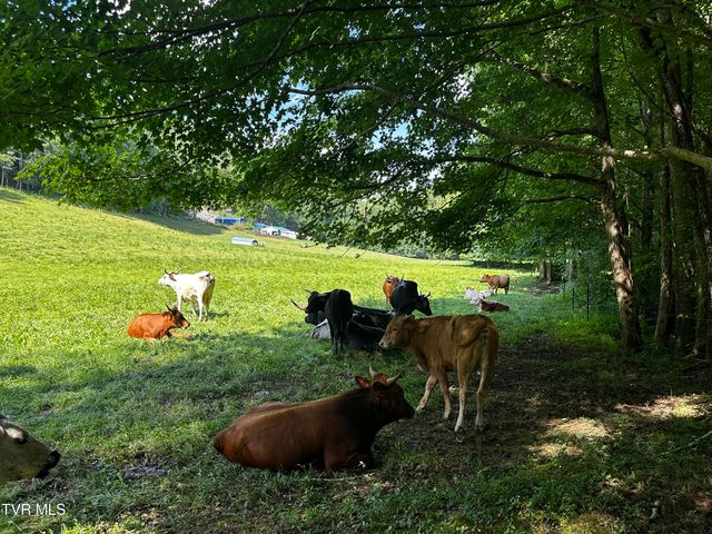 1013 Cloud Creek Road, Rogersville, TN 37857