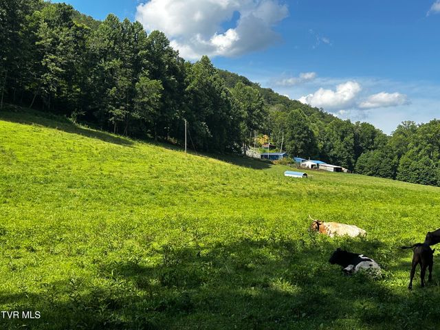 1013 Cloud Creek Road, Rogersville, TN 37857