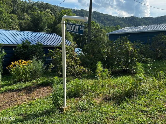 1013 Cloud Creek Road, Rogersville, TN 37857