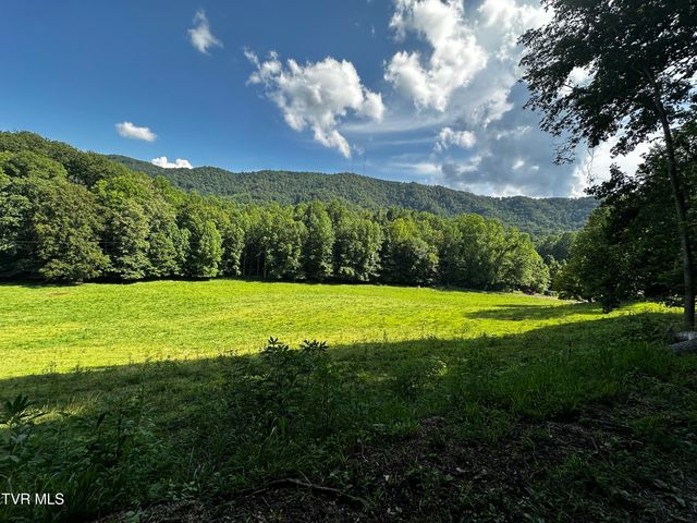 1013 Cloud Creek Road, Rogersville, TN 37857