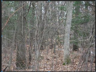 VL Staple Road, Muskegon, MI 49445