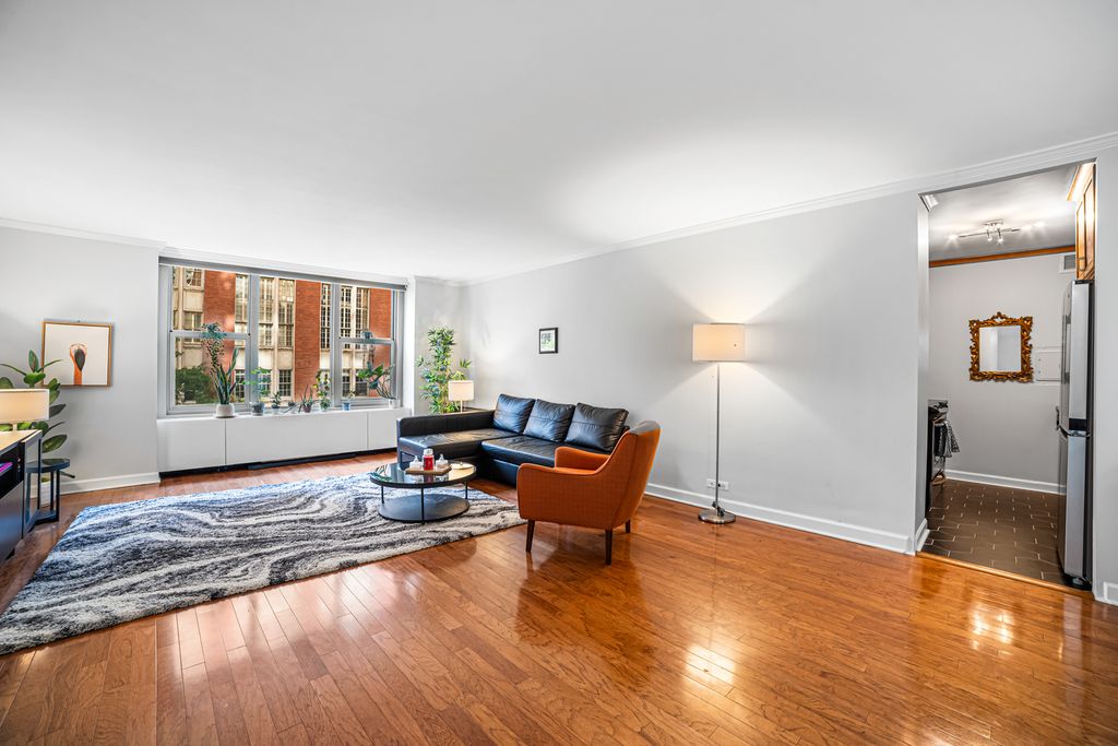 1325 N State Parkway 6D, Chicago, IL 60610 — photo 5