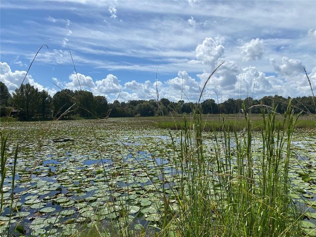 12 N SHADOW WOOD DRIVE, Inverness, FL 34450