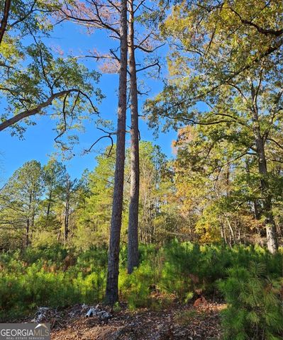 1993 Smyrna Road SW, Conyers, GA 30094