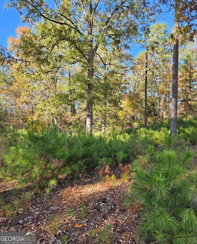 1993 Smyrna Road SW, Conyers, GA 30094