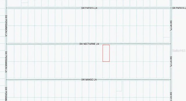 SW NECTARINE LANE, Dunnellon, FL 34431