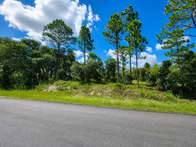 SW NECTARINE LANE, Dunnellon, FL 34431