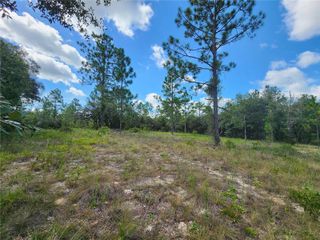SW NECTARINE LANE, Dunnellon, FL 34431