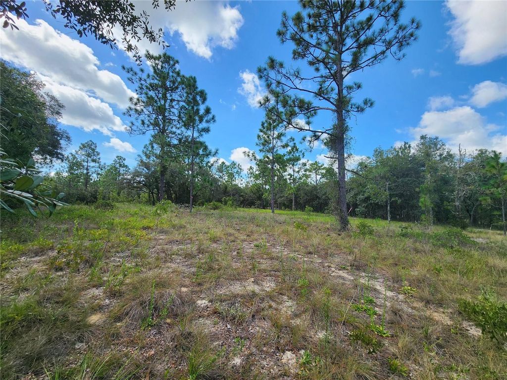 SW NECTARINE LANE, Dunnellon, FL 34431