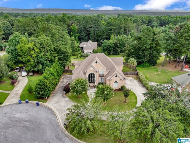 205 WOODBRIDGE TRAIL, Chelsea, AL 35043