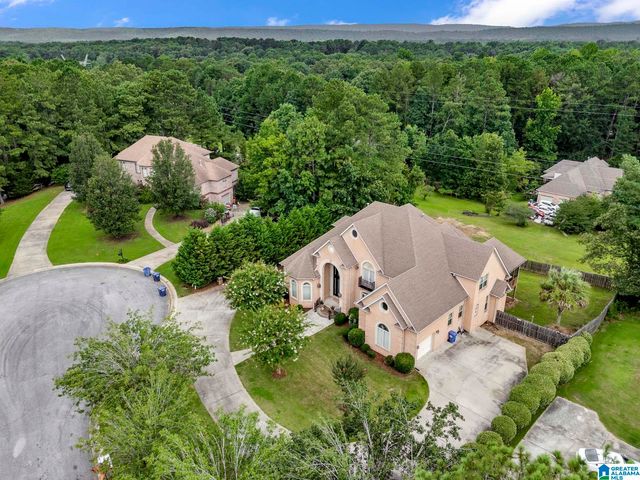 205 WOODBRIDGE TRAIL, Chelsea, AL 35043