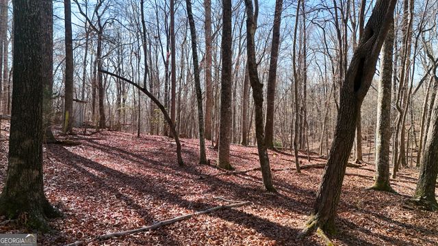 193 Wynn Lake Circle, Alto, GA 30510