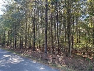 Lot 6 Big Lake Road, Pineville, LA 71360