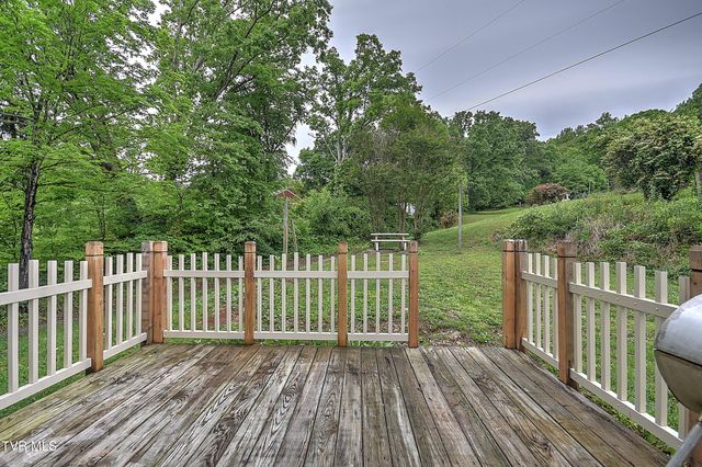 510 Cherokee Drive, Mount Carmel, TN 37645