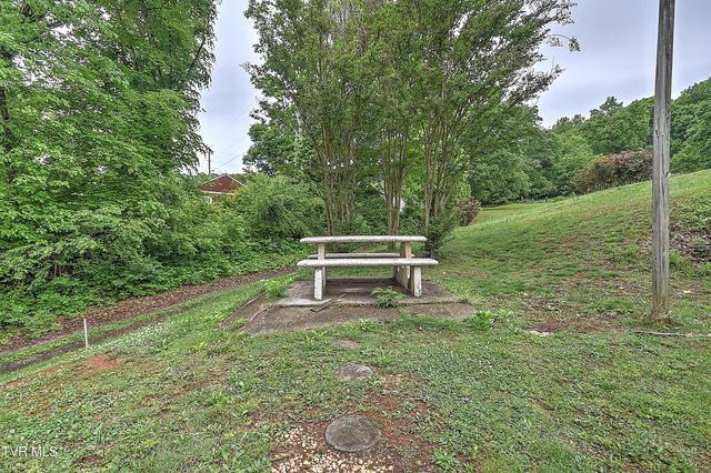 510 Cherokee Drive, Mount Carmel, TN 37645
